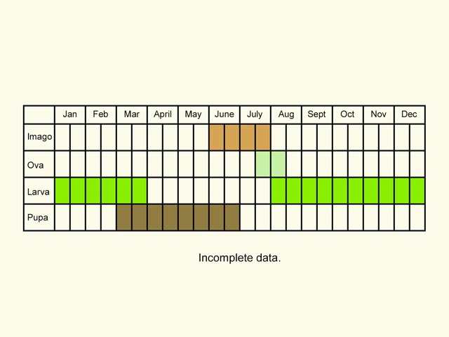  Life stages table Copyright Martin Evans 
