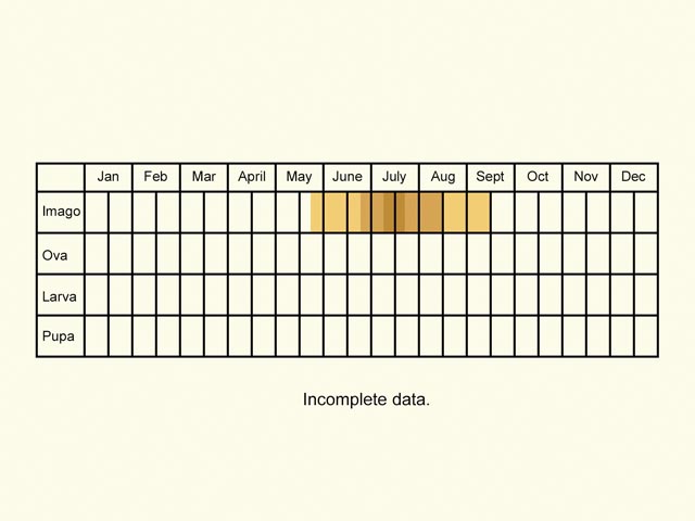  Life stages table Copyright Martin Evans 