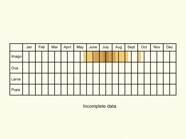  Life stages table Copyright Martin Evans 
