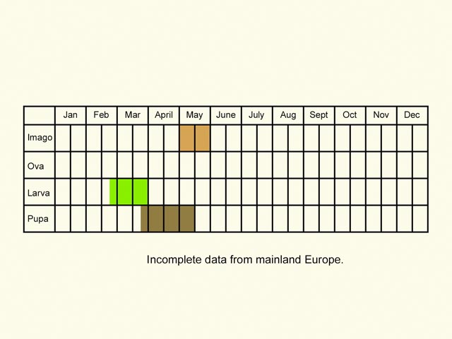  Life stages table Copyright Martin Evans 
