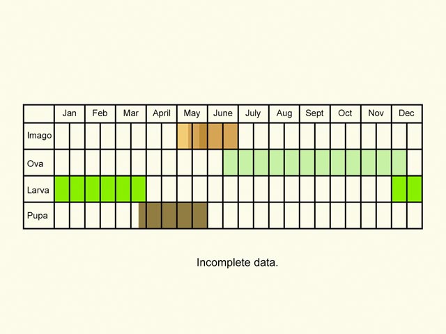  Life stages table Copyright Martin Evans 