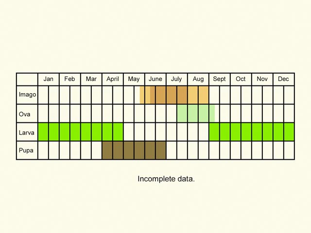  Life stages table Copyright Martin Evans 