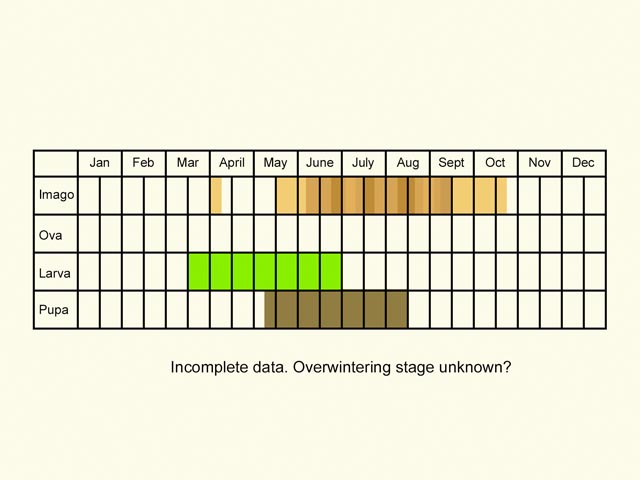  Life stages table Copyright Martin Evans 
