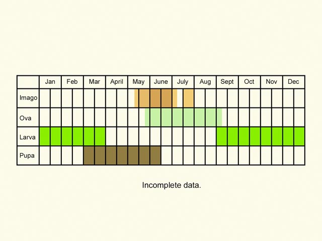 Life stages table Copyright Martin Evans 