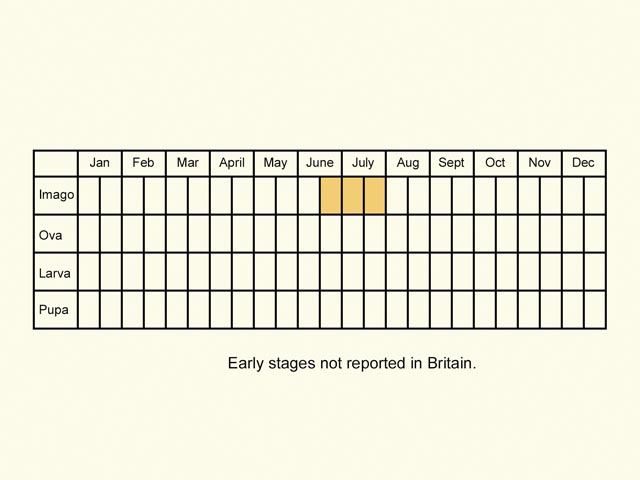  Life stages table Copyright Martin Evans 