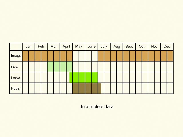  Life stages table Copyright Martin Evans 