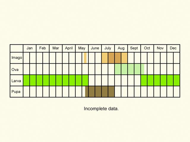  Life stages table Copyright Martin Evans 