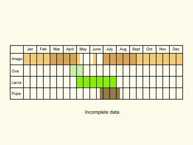  Life stages table Copyright Martin Evans 