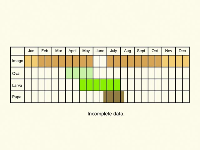  Life stages table Copyright Martin Evans 