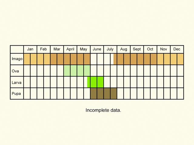  Life stages table Copyright Martin Evans 