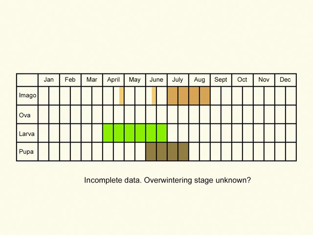  Life stages table Copyright Martin Evans 