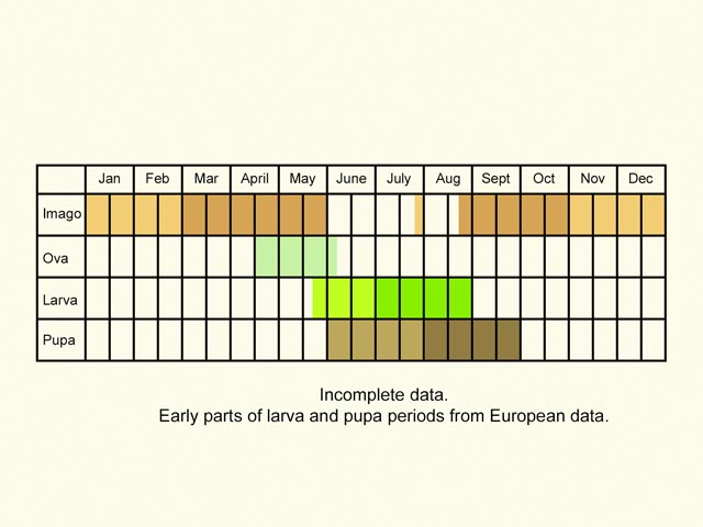  Life stages table Copyright Martin Evans 