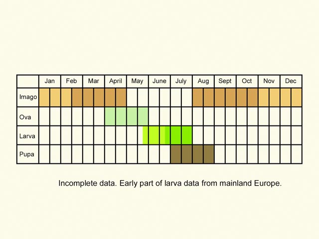  Life stages table Copyright Martin Evans 