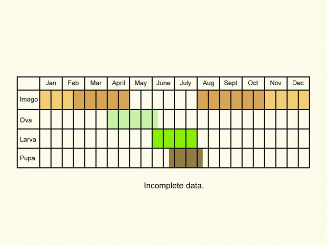  Life stages table Copyright Martin Evans 