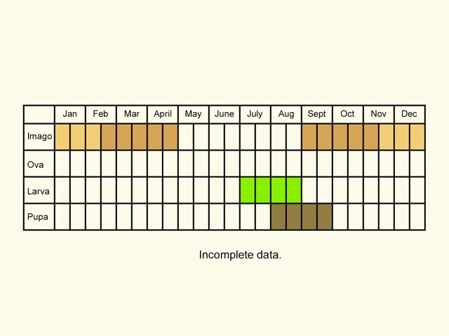  Life stages table Copyright Martin Evans 