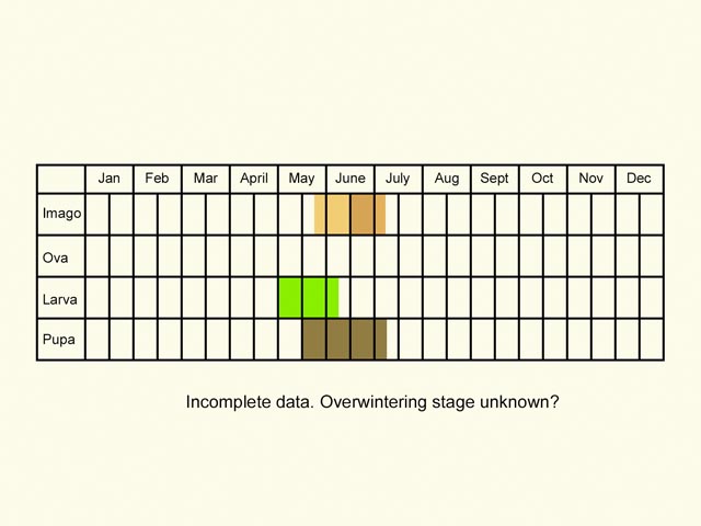  Life stages table Copyright Martin Evans 