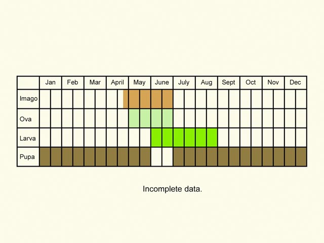 Life stages table Copyright Martin Evans 