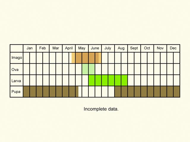  Life stages table Copyright Martin Evans 