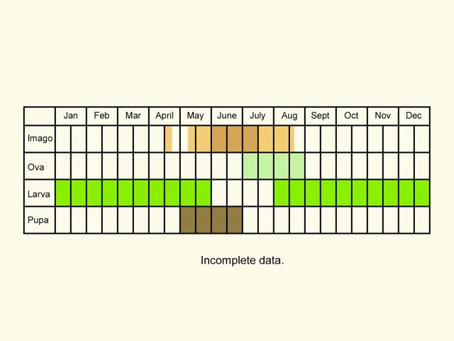  Life stages table Copyright Martin Evans 