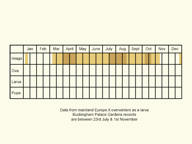  Life stages table Copyright Martin Evans 
