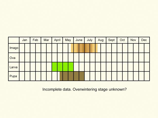  Life stages table Copyright Martin Evans 