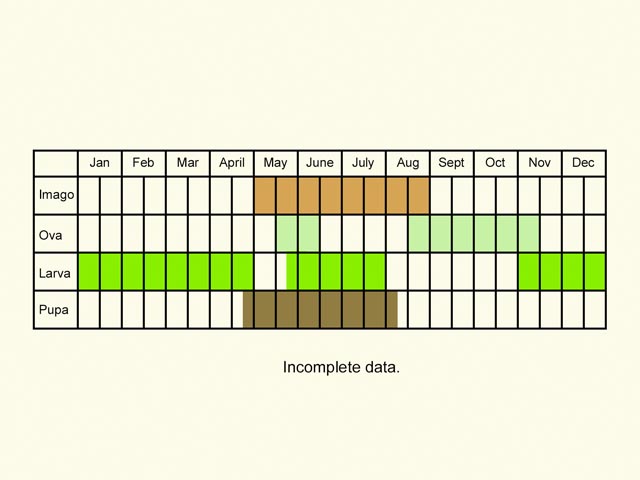  Life stages table Copyright Martin Evans 