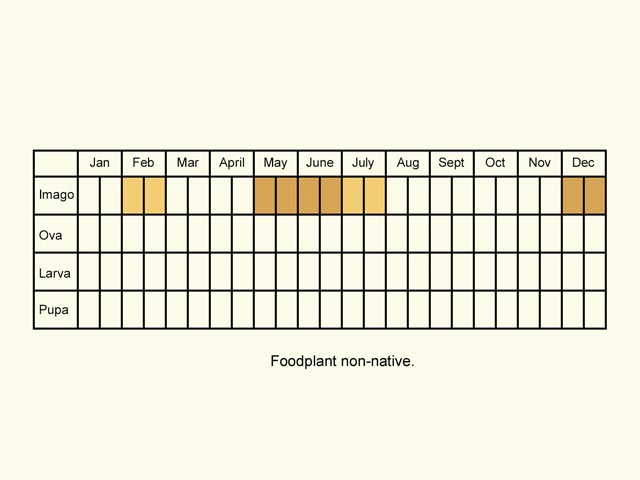  Life stages table Copyright Martin Evans 