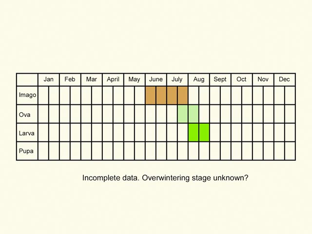  Life stages table Copyright Martin Evans 