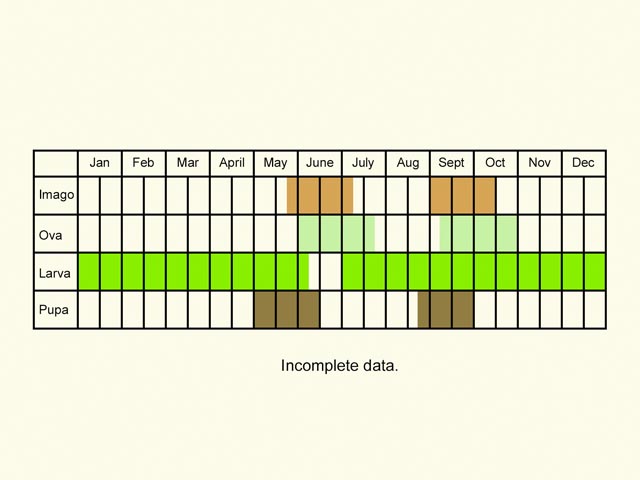  Life stages table Copyright Martin Evans 