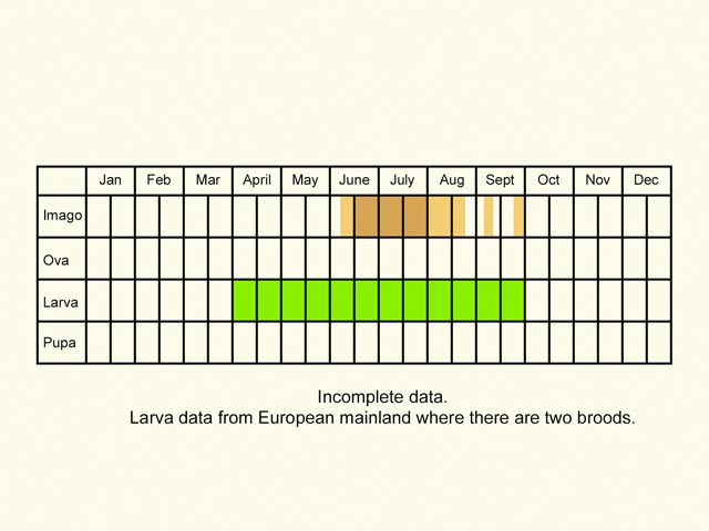  Life stages table Copyright Martin Evans 