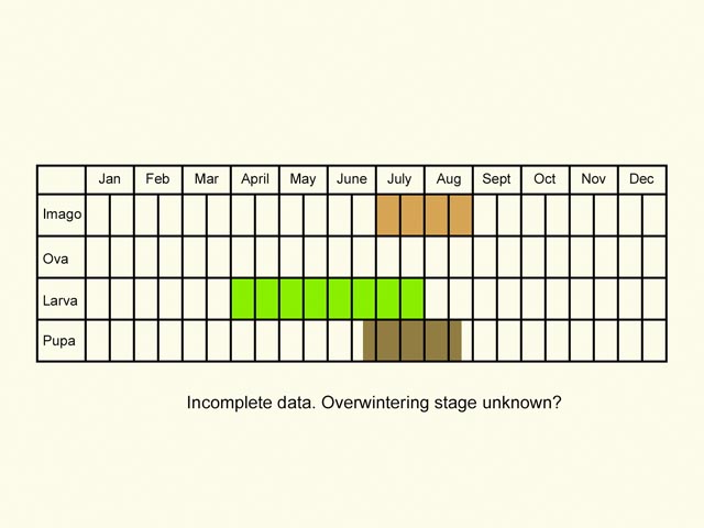  Life stages table Copyright Martin Evans 