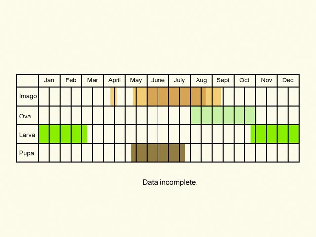  Life stages table Copyright Martin Evans 