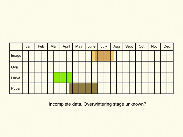  Life stages table Copyright Martin Evans 