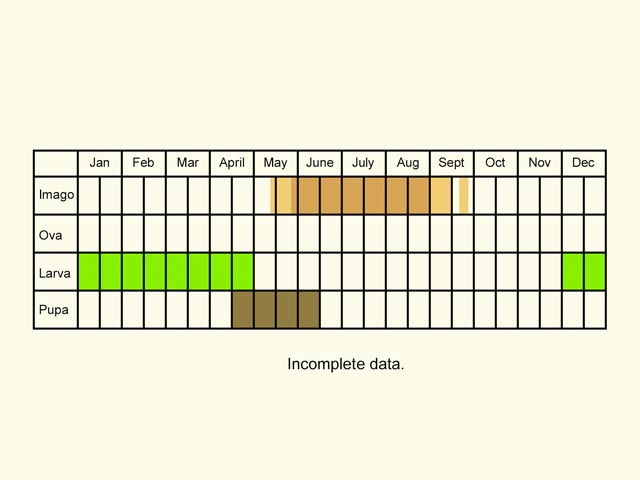  Life stages table Copyright Martin Evans 