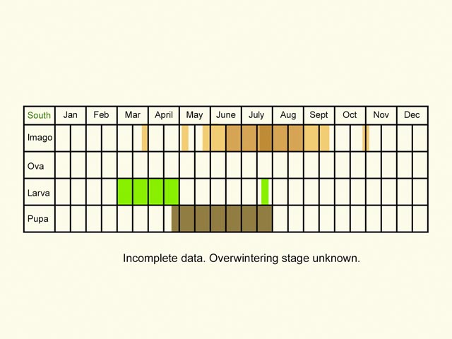  Life stages table Copyright Martin Evans 