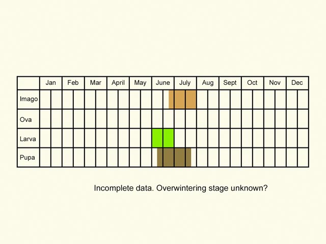  Life stages table Copyright Martin Evans 