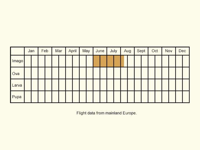  Life stages table Copyright Martin Evans 