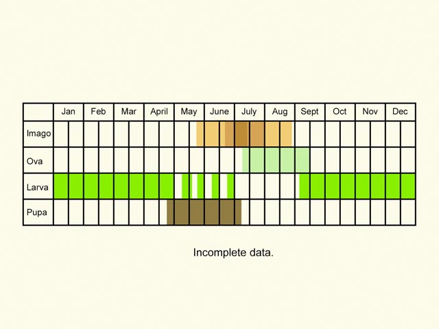  Life stages table Copyright Martin Evans 