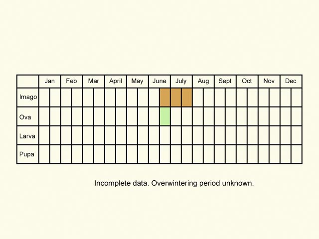  Life stages table Copyright Martin Evans 