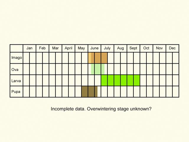  Life stages table Copyright Martin Evans 