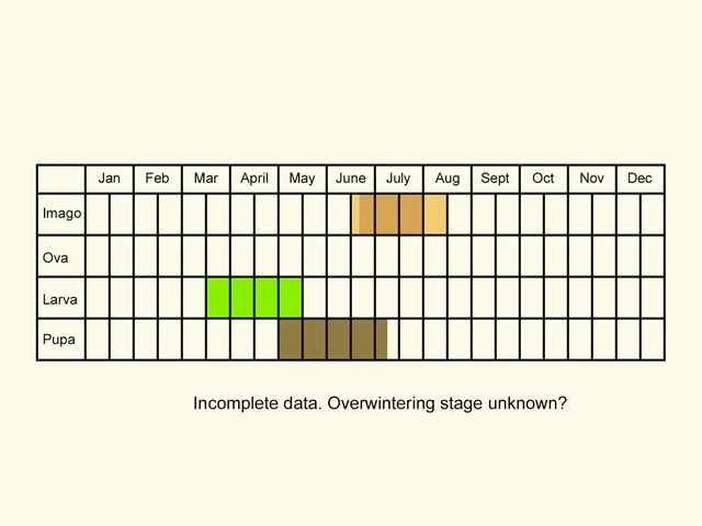  Life stages table Copyright Martin Evans 