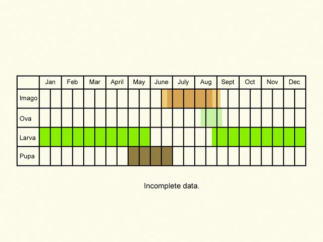  Life stages table Copyright Martin Evans 