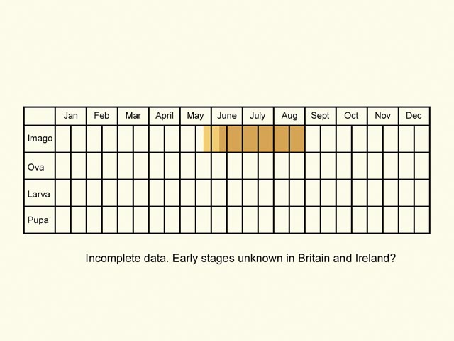  Life stages table Copyright Martin Evans 