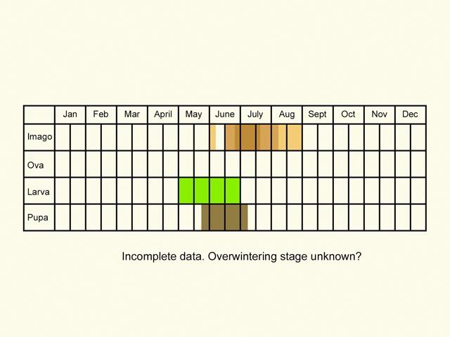  Life stages table Copyright Martin Evans 