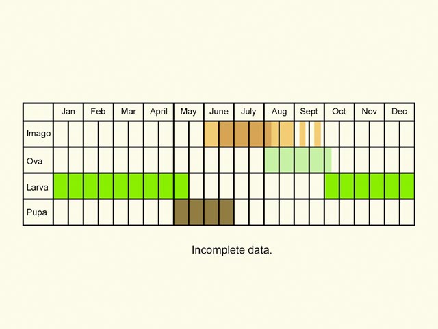  Life stages table Copyright Martin Evans 