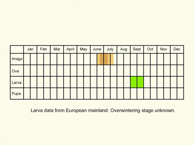  Life stages table Copyright Martin Evans 
