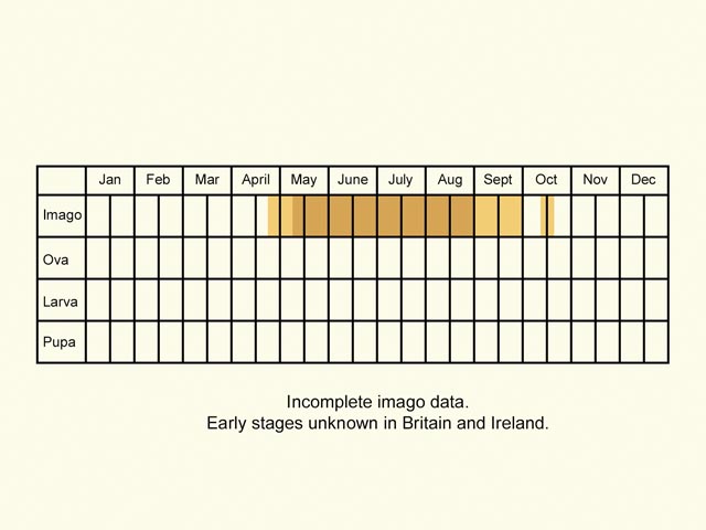  Life stages table Copyright Martin Evans 