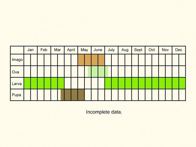  Life stages table Copyright Martin Evans 