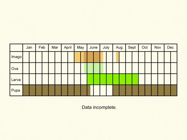  Life stages table Copyright Martin Evans 