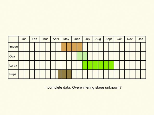  Life stages table Copyright Martin Evans 